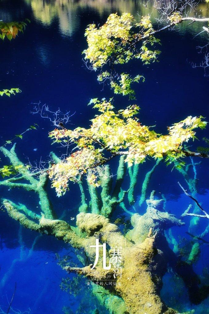 星途瑶光C-DM上市时间确认，价格或许存在惊喜